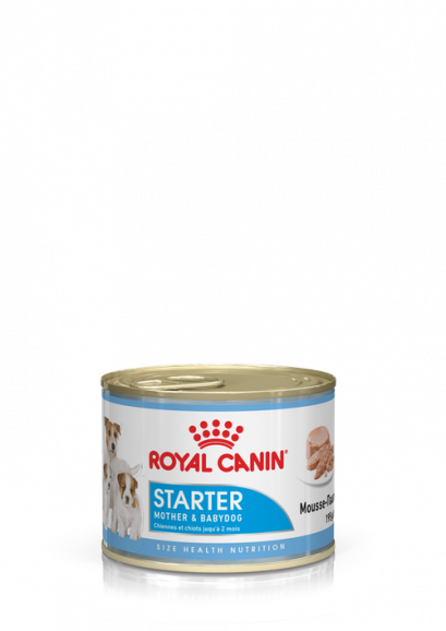 Royal canin SHW START MOUSSE 195 g